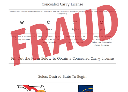 concealed_weapon_fraud