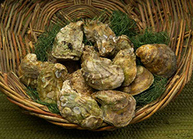 oysters_gridview