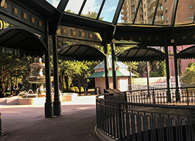 urban-foresty-revised-gridview