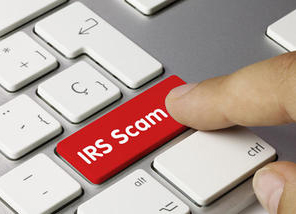 tax_fraud_gridview