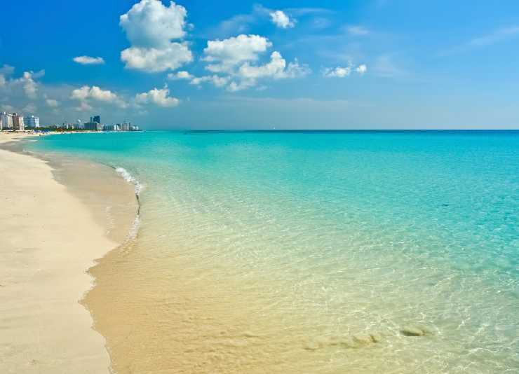 travel_scams_gridview